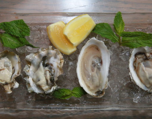 Wild Standard sets the standard