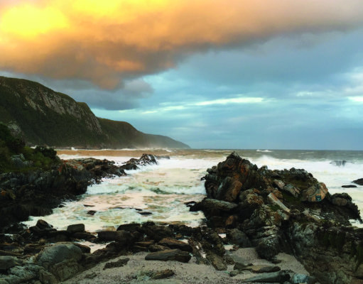 Exploring South Africa