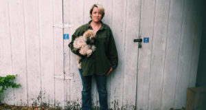 Cutting down consumption