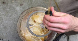 Fermentation: the culture of cultures being cultured