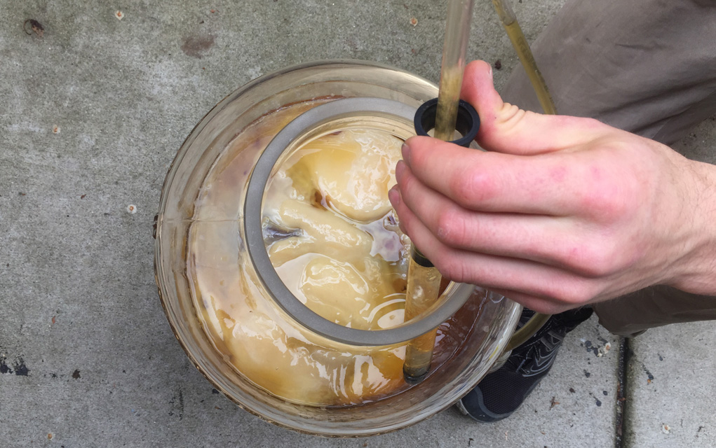 Fermentation: the culture of cultures being cultured