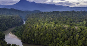 The possibility to reverse global warming