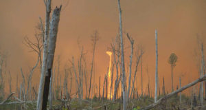 Most U.S. wildfires started by humans