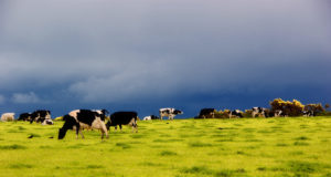 Big Organic behaving badly (much worse than Monsanto)