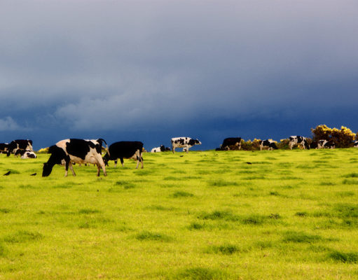 Two Western states act to control methane