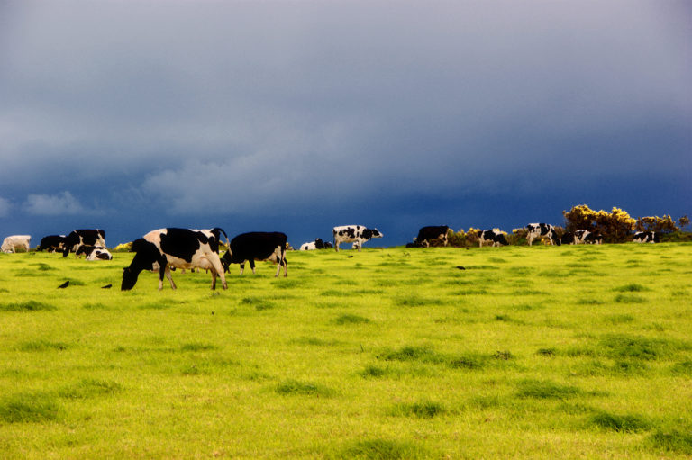 Big Organic behaving badly (much worse than Monsanto)
