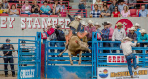 The Greeley Stampede