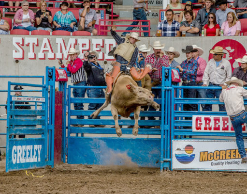 The Greeley Stampede