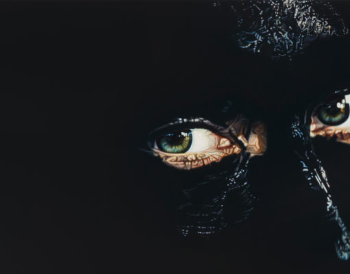 Narratives of our land