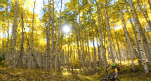 When the body breaks, but the spirit survives