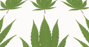 Where not to smoke weed