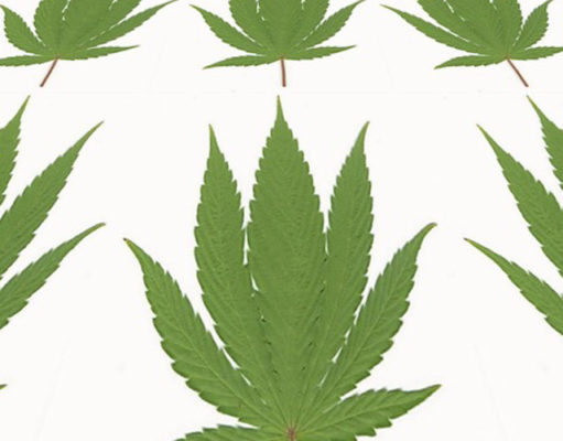 Where not to smoke weed