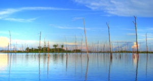 Plans to dam the Amazon will cost the Earth