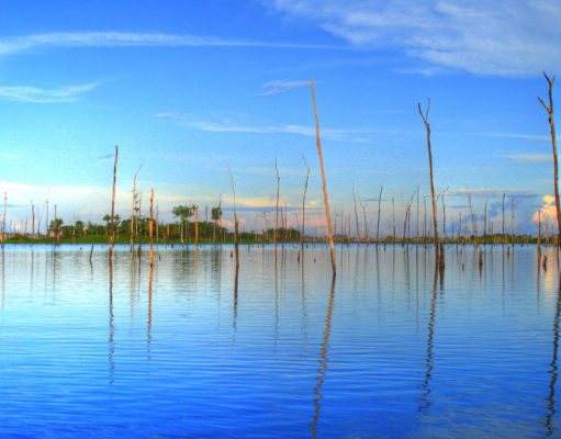 Plans to dam the Amazon will cost the Earth