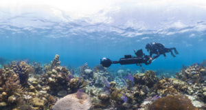 Out of sight, out of mind no more