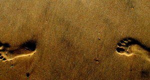 Fighting for more than just the next step