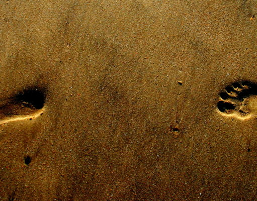 Fighting for more than just the next step