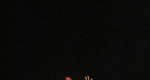 A most delicate anguish