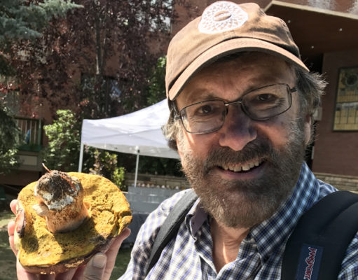 You say you want a revolution