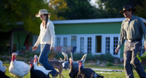 Innovating investments in soil