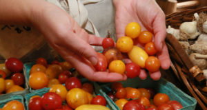 Food fans are at Boulder County farm stands
