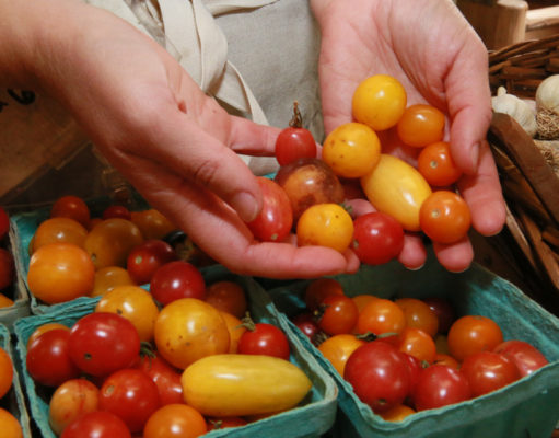 Food fans are at Boulder County farm stands