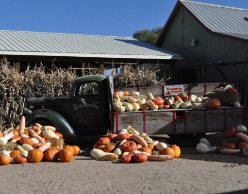 Hydroponic systems and seed loopholes