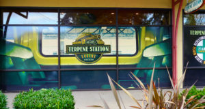 Burning up: A blunt message from an old stoner to new pot smokers