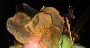 Try this week: Grapefruit and fennel dessert, Spicy Frenchman and more