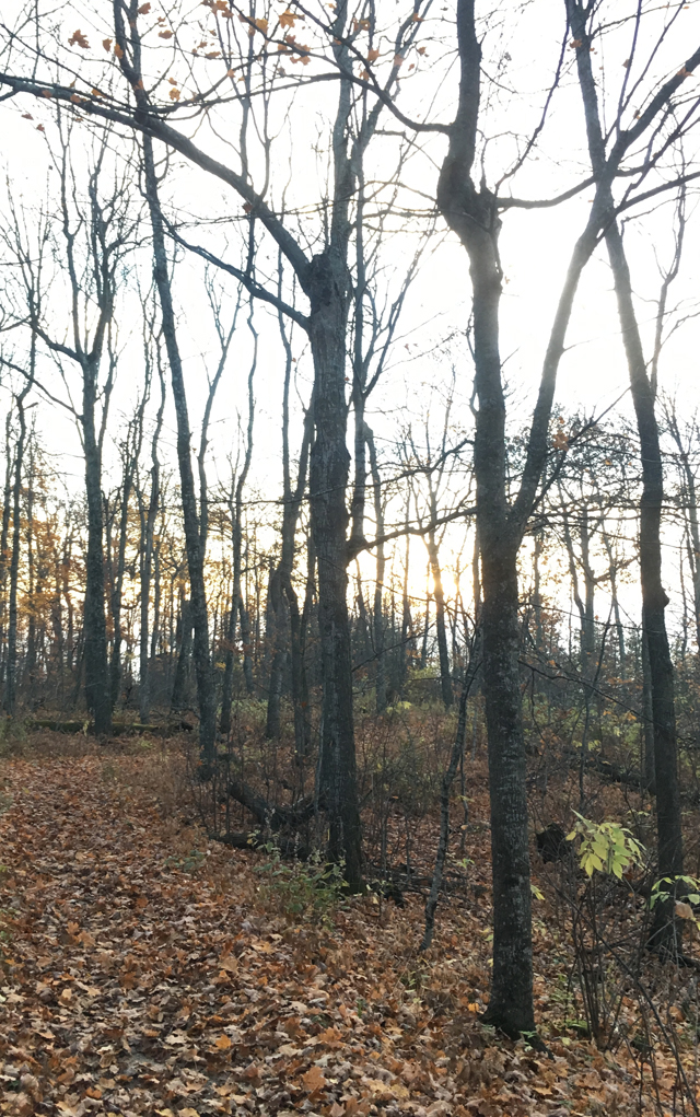 The hidden path