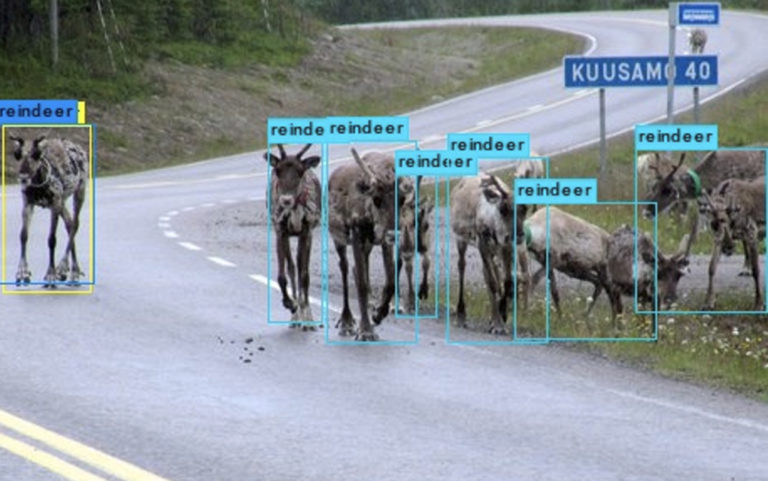 Saving Rudolph