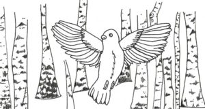 Poetry by Dash Codiga