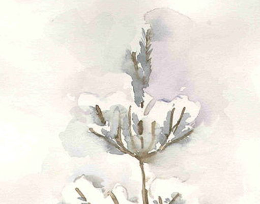 Tree in Winter
