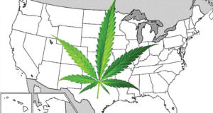 Canadian MPs vote for legal marijuana