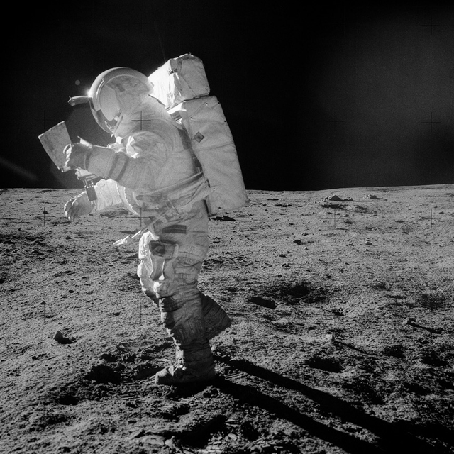 ‘We are stardust’