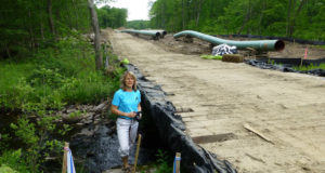 Does our state constitution protect the environment?