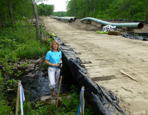 Does our state constitution protect the environment?