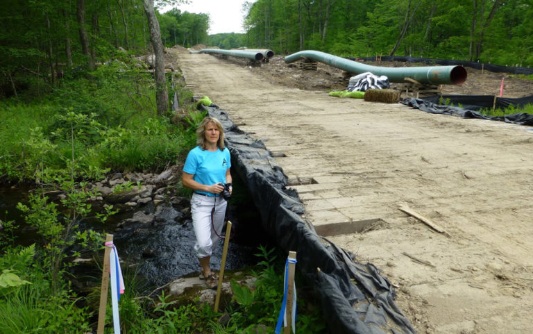 Does our state constitution protect the environment?