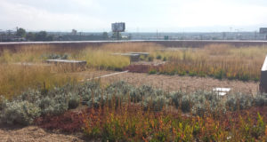 Questions remain with Denver’s new Green Roof Initiative
