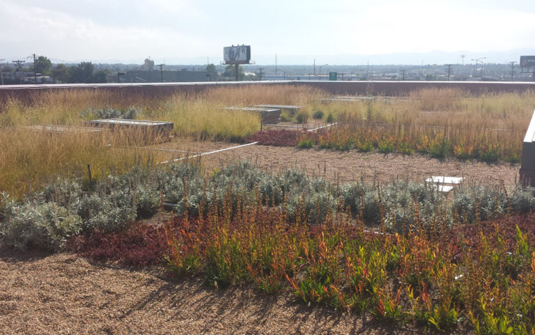 Questions remain with Denver’s new Green Roof Initiative