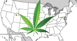 America goes to pot, discovers states’ rights