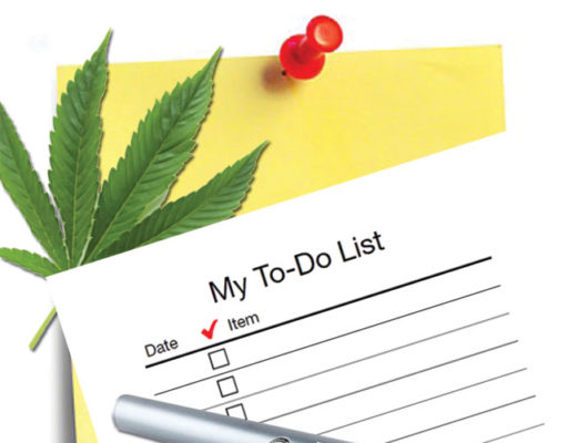 The high-functioning stoner