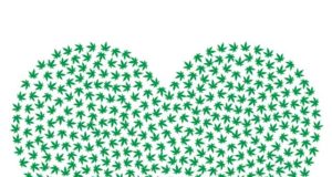 To date, or not to date a stoner?