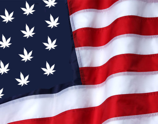 Kochs to Sessions: Dial it back on pot