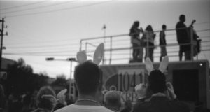 Lessons from rednecks and dumb bunnies