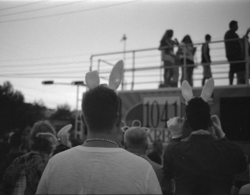 Lessons from rednecks and dumb bunnies