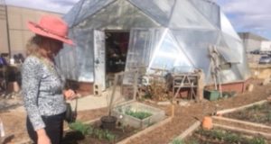 School gardens face growing pains, bountiful harvests