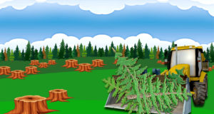 Out of the Fryingpan and into the Forest: