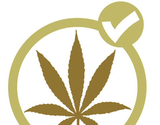 Nearly two in three Americans agree: Stoners aren’t bad people