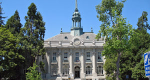 Marijuana and nullification